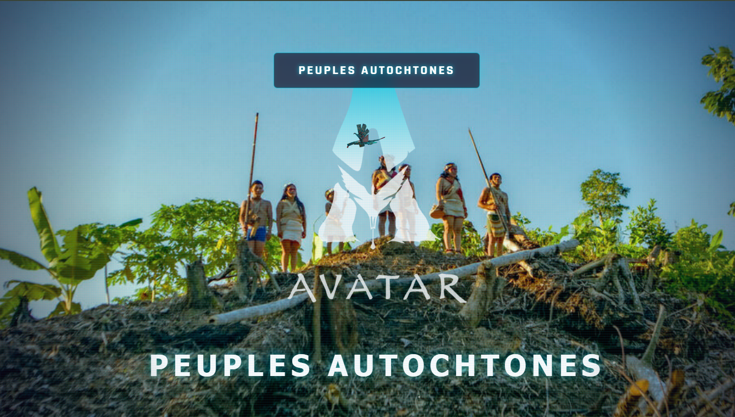 Web Documentaire